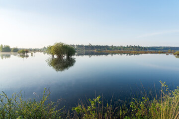 Fototapeta premium In the early morning a lake with a clear reflection of the trees. The first sun light provide a warm light. The scene is calm and peaceful. Dwingelderveld in the Netherlands.