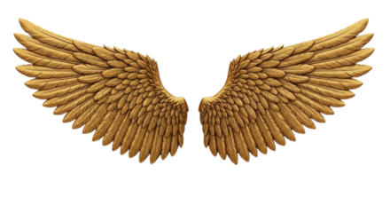 Golden angel wings transparent background cutout png