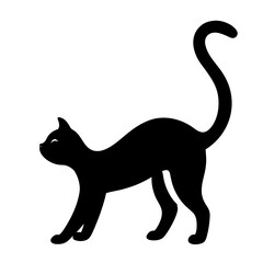 black cat on white background