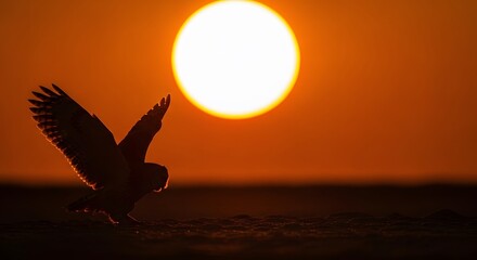 Naklejka premium Majestic owl in silhouette with outstretched wings, captured against a brilliant orange sunset or sunrise on textured ground.