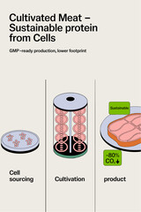 Cultivated Meat Production Workflow – From Cell Sourcing to Final Product