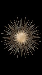 Fototapeta premium fireworks in the night sky