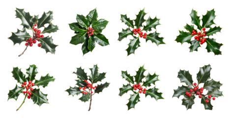 PNG Festive holly leaves and berries, element set on transparent background