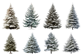 Fototapeta premium PNG Snow-covered evergreen trees variety, element set on transparent background