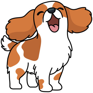 Joyful Laughing Cavalier Dog