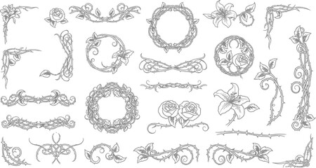 Floral Border Elements and Ornate Dividers with Thorns and Roses