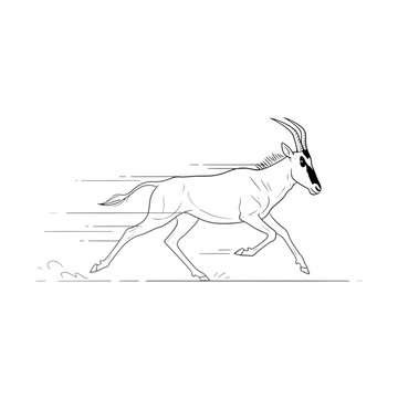 A minimalist black line drawing of a hartebeest isolated on transparent background
