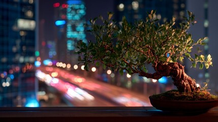 Bonsai tree cityscape night