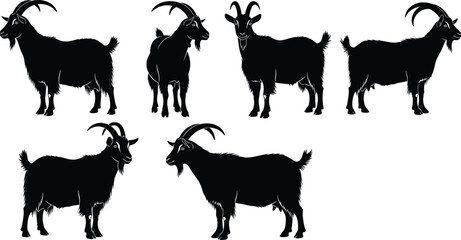 Collection of black goat silhouettes with big horns standing in various poses, vector illustration set isolated on white background for design