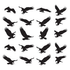 Fototapeta premium Eagle flying silhouettes bundle