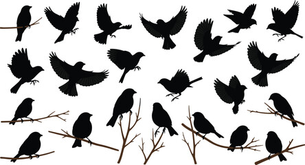 Set of black silhouettes of small birds flying and perching on branches, vector illustration collection isolated on white background for nature design