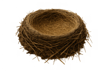 Bird nest made of twigs and grass, depicting new beginnings, departure, or an empty home on transparent background