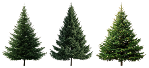 PNG Three decorated evergreen Christmas trees, element set on transparent background