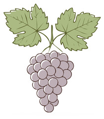 Fototapeta premium Hand Drawn Purple Grapes with Green Leaves on a White Background