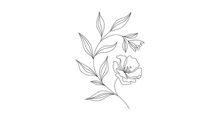 Minimal Botanical Line Drawing