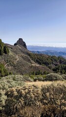 Typical mountain landscape in the center of the island, the rock in the background - Roque del Pino. Gran Canaria. Canary Islands. Spain.