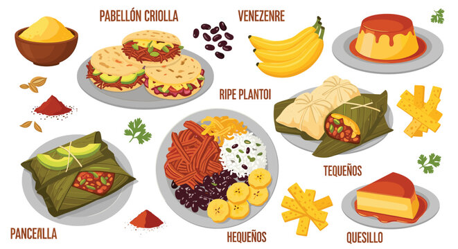 Delicious Venezuelan Cuisine Illustration: Pabell&oacute;n Criolla, Hallacas, Arepas, Teque&ntilde;os, Quesillo, Pancella, and Venezenre for Authentic Food Concepts