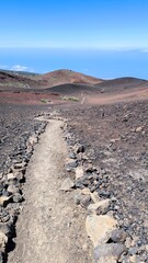 Narrow trail bordered by volcanic stones winds through red and black lava fields toward Pico Viejo, Teide National Park. Sparse shrubs and wide horizon under blue sky reveal the rugged landscape.