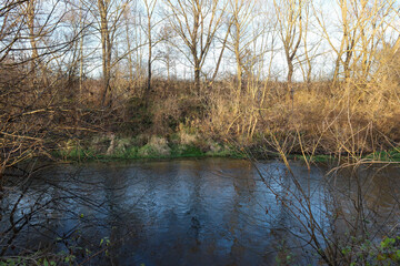 This shot features a quiet winter or late autumn landscape where a small, dark blue river course is framed by dense undergrowth and bare trees.