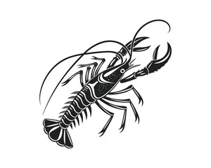 A striking, high-contrast black and white sketch of a lobster, showcasing its segmented body, claws, and antennae with intricate detail