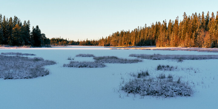Store Vindflotjernet Lake of the Vindflomyrene Nature Reserve at the Toten&aring;sen Hills, Norway, November 2025.