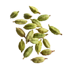 Fototapeta premium Falling green cardamom pods isolated on transparent white background 