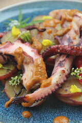 Grilled octopus with golden potatoes and creamy rocoto sauce—a bold and flavorful seafood dish showcasing the richness of Peruvian cuisine.