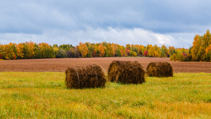 Fields of hay bales under overcast skies in autumn landscape with vibrant foliage.