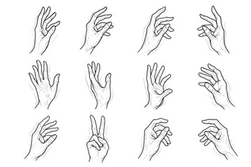 Fototapeta premium Pencil showing icons sketch lines icon vector hand artistic study flow movement