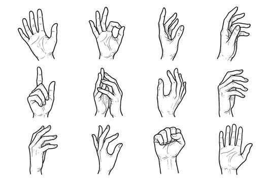 Detailed artistic hand set sketches icon poses vector collection expressive hands pose