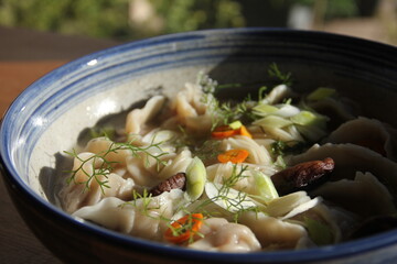 Dumpling soup with tender mushrooms and soft noodles in a savory broth—a warm, comforting bowl full of rich textures and umami flavor.
