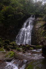 Fototapeta premium Mossy forest waterfall in autumn