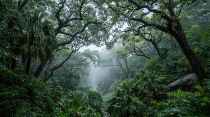 Lush, vibrant forest scene; canopy arches above, fog-shrouded path leads into distance