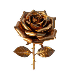 Golden Rose With Stem and Leaves on Transparent Background Realistic Metallic Flower Illustration