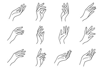 Gentle elegant gesture curved line feminine icon lines vector flowing hand hands