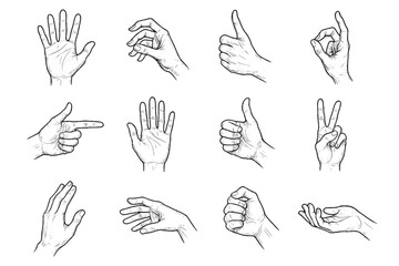 Fototapeta premium Vector anatomy hand dynamic icon study icons positions finger sketch handdrawn ink