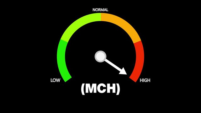 Animated MCH (mean corpuscular hemoglobin) level meter moving from low level to normal level, ideal for concepts related to blood health, anemia management, and medical monitoring.