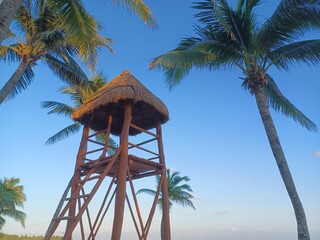 Wooden Thatched Roof Tropical Tower