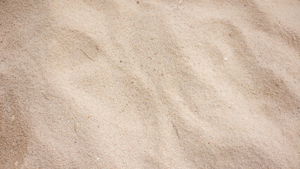 Fine Grain Sandy Beach Texture and Background