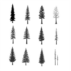 Obraz premium Editable minimalist pine and fir tree silhouette vector collection for nature art landscape scenes environmental graphics outdoor adventure branding and forest themed designs