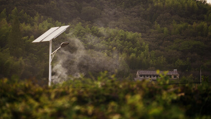solar panels on a meadow