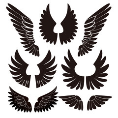 Obraz premium set of wings