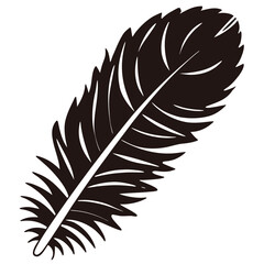 Fototapeta premium feather isolated on white background