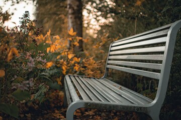 Autumnal park bench in foliage