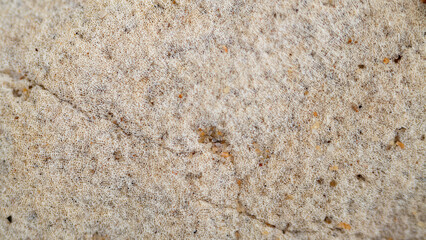 Abstract Macro Texture of Fibrous Material Embedded with Sand