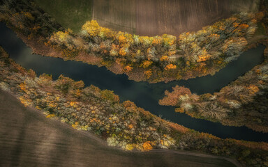 Autumn River Bend from Above – Soft light reveals the season’s last colors along a winding waterway.
