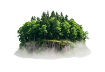 Dense forest covering floating island mass surrounded by fog and clouds below, isolated on a transparent background
