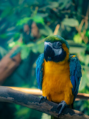 台北市立動物園