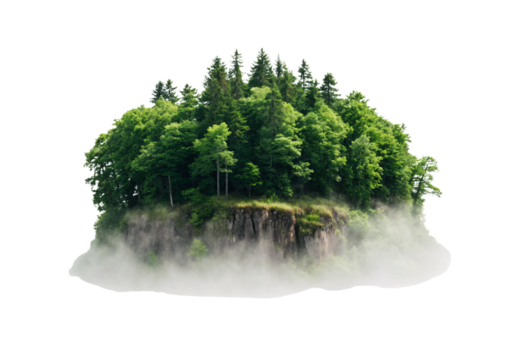 Dense forest covering floating island mass surrounded by fog and clouds below, isolated on a transparent background