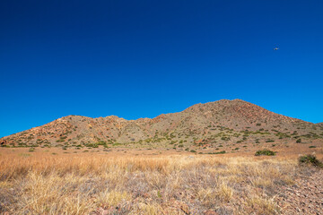 Auf einem Wanderweg im Naturpark Cabo de Gata-Níjar nahe La Almadraba de Monteleva in der Provinz Almería in Andalusien, Spanien